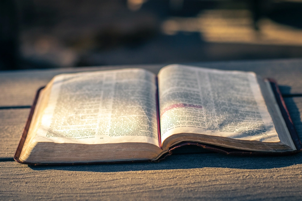 opened-book-letters-light-outside-view